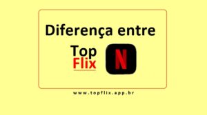 Qual a Diferença entre topflix e netflix