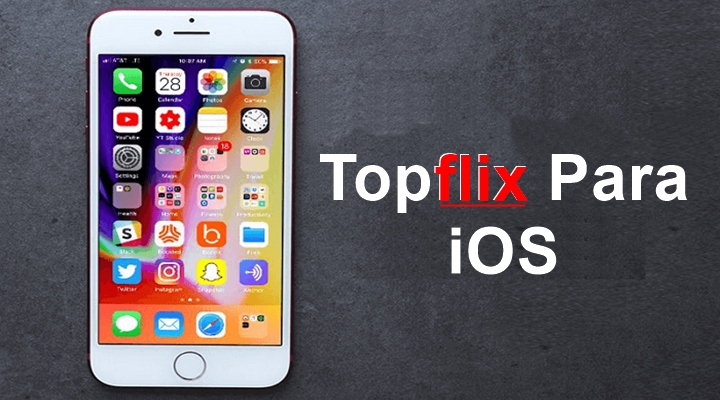 Instalar o Topflix no iOS